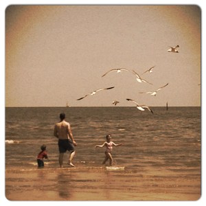 familybeachbirds